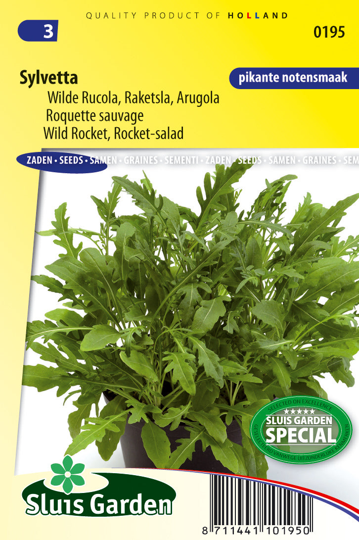 Rocket-salad, Wild Rocket Sylvesta