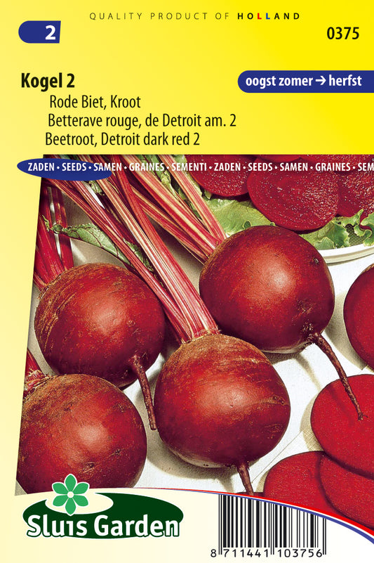 Beetroot Detroit dark red 2