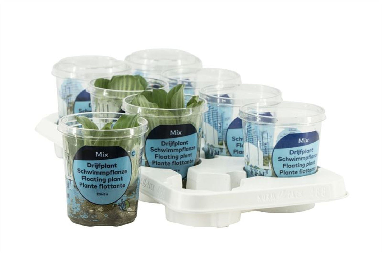 One of drijvermix in cup medium