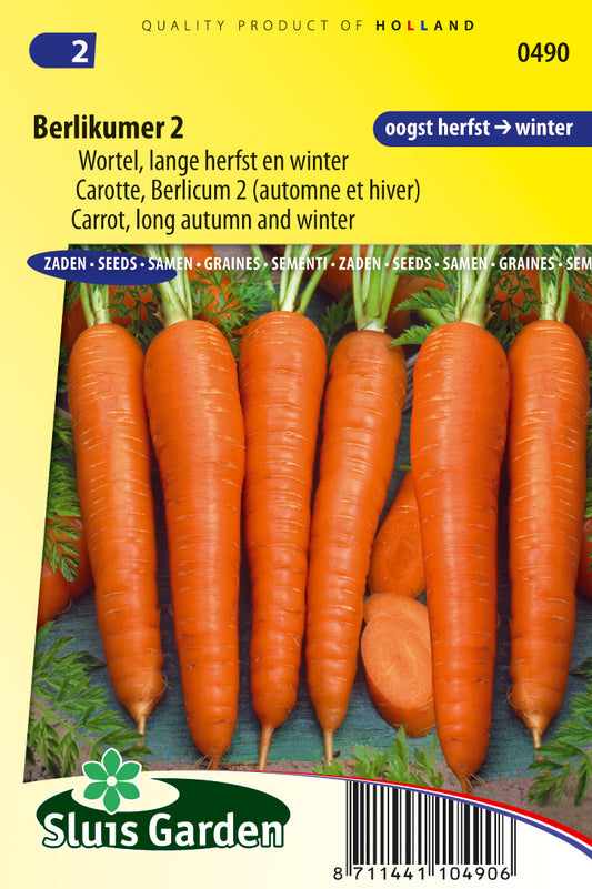 Carrot Berlikumer 2 (Long Autumn and Winter)