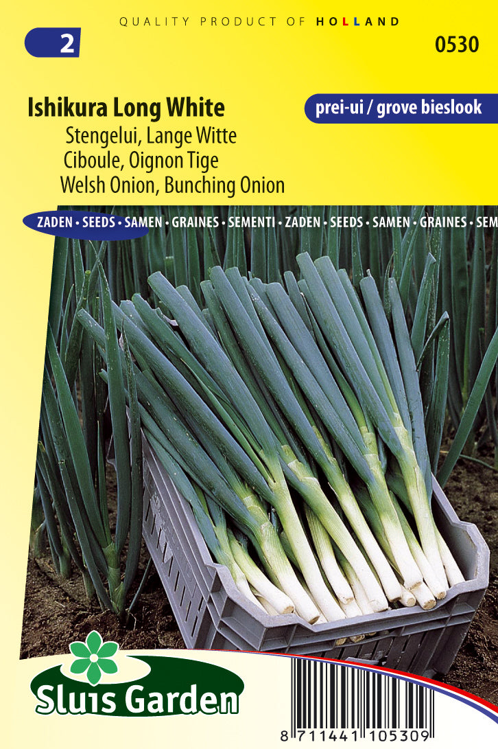 Welsh Onion Ishikura Long white