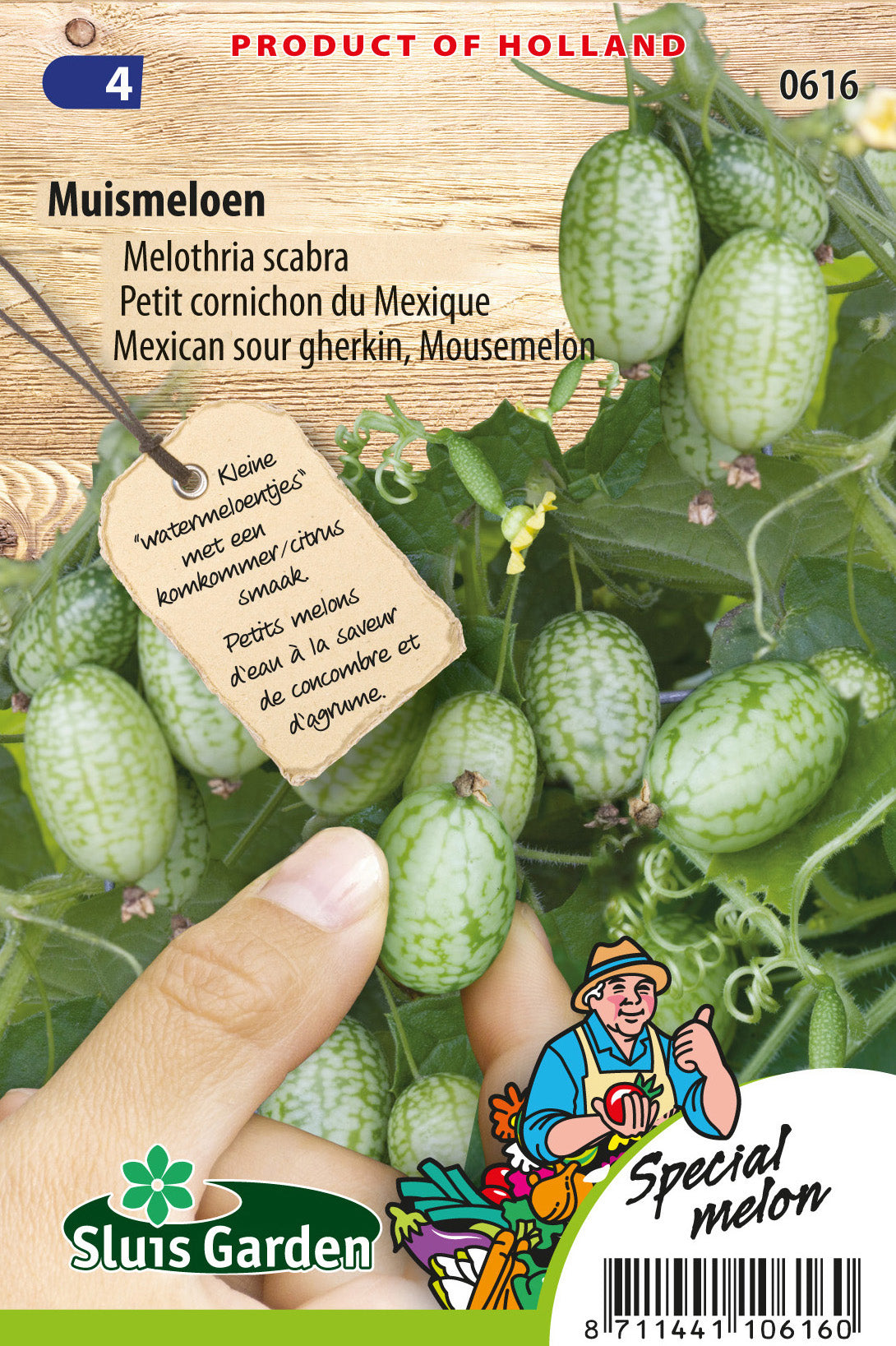 Melothria scalar Mexican Sour Gherkin