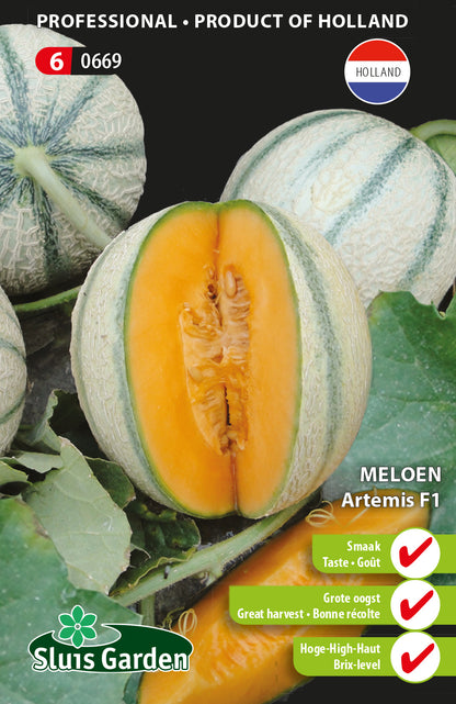 Melon "Artemis F1"