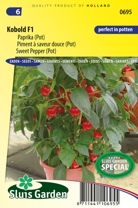 Sweet pepper Kobold F1 (pot)