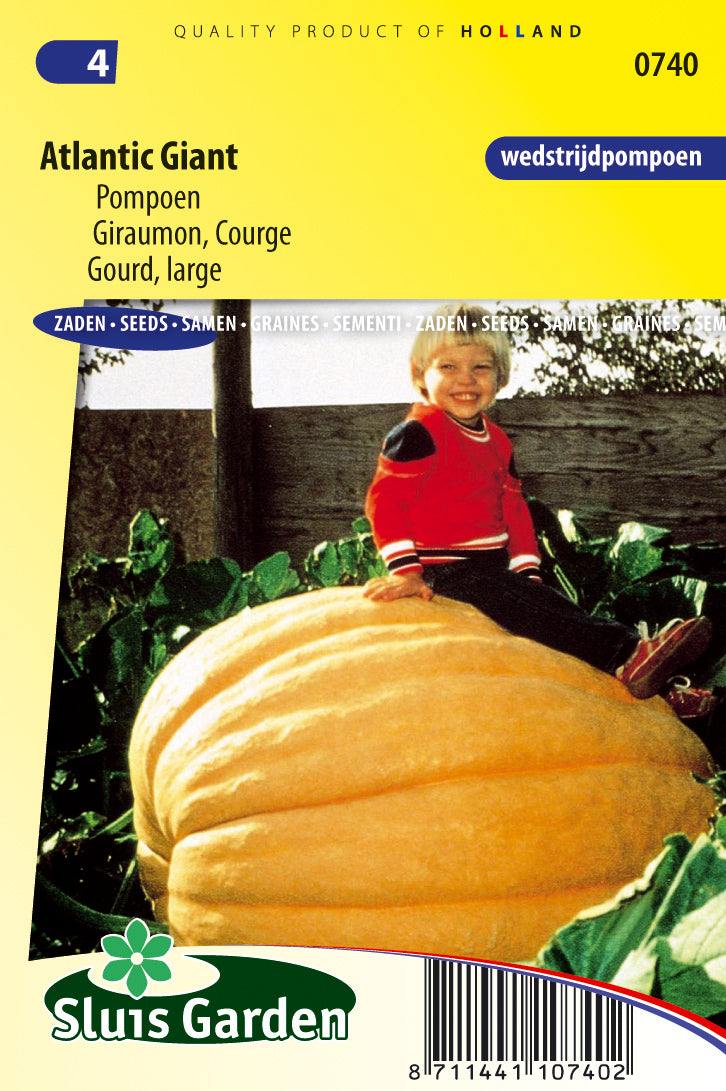 Gourd (large) Atlantic Giant