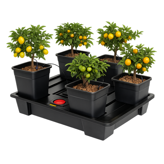 Wilma 5 pots  سستم زراعة مائية