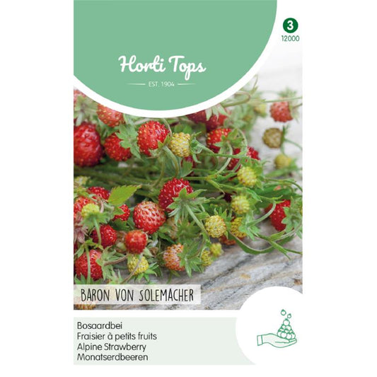 Horti Tops® Alpine Strawberry - Baron von Solemacher