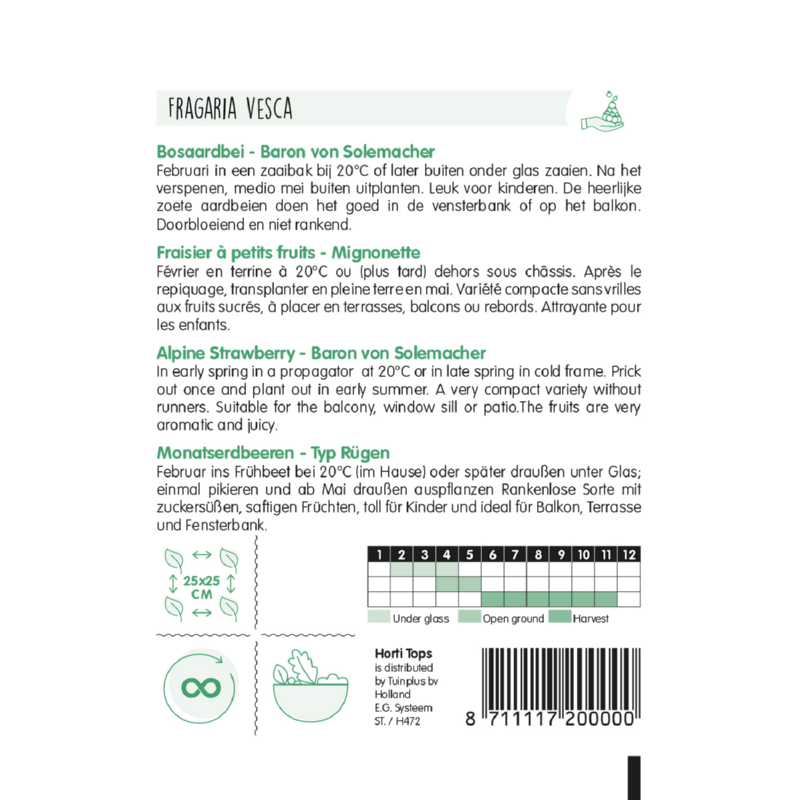 Horti Tops® Alpine Strawberry - Baron von Solemacher