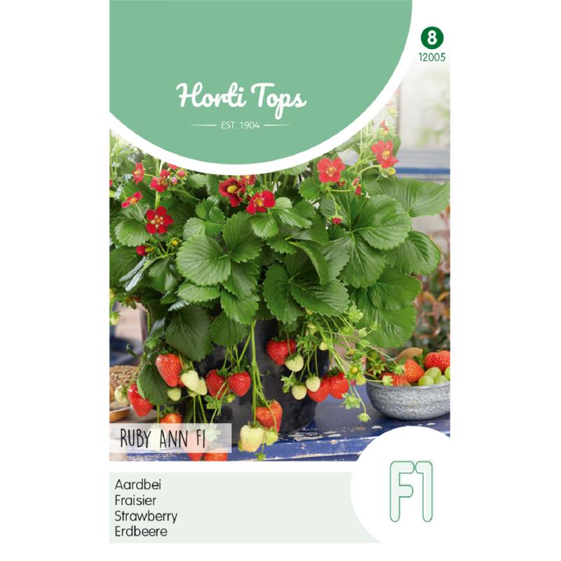 Horti Tops® Strawberry Ruby Ann F1