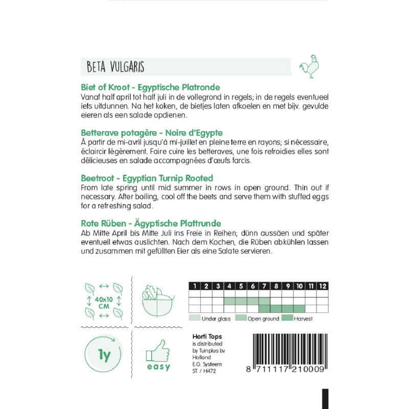 Horti Tops® Beet Egyptian Turnip Rooted