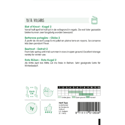 Horti Tops® Red Beet Detroit 2