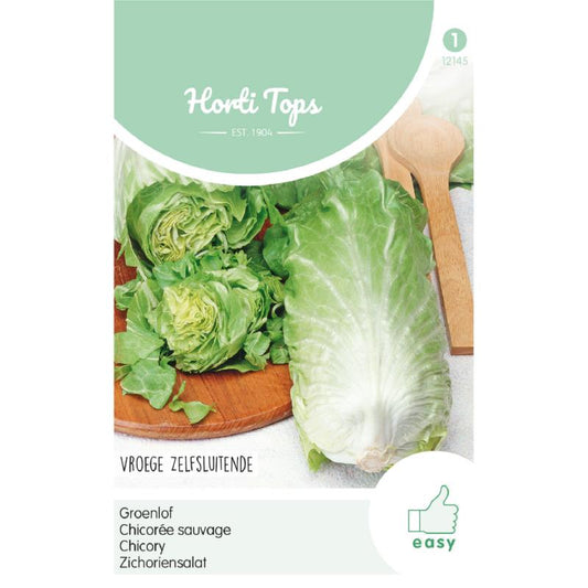 Horti Tops® Chicory Zuckerhut Or Sugarleaf