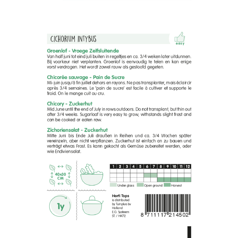 Horti Tops® Chicory Zuckerhut Or Sugarleaf