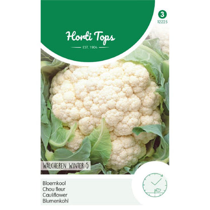 Horti Tops® Cauliflower Walcheren Winter 5