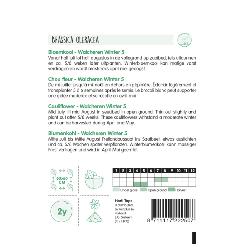 Horti Tops® Cauliflower Walcheren Winter 5