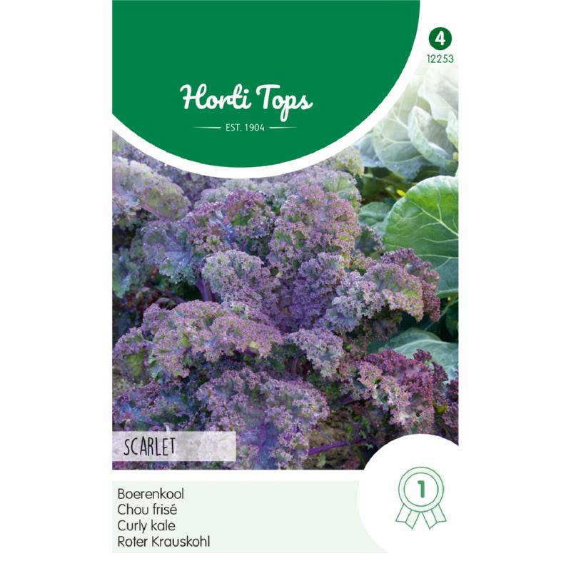 Horti Tops® Curly kale Scarlet, purple