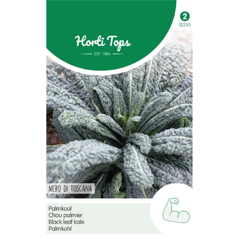 Horti Tops Horti Tops® Black leaf kale Nero di Toscana