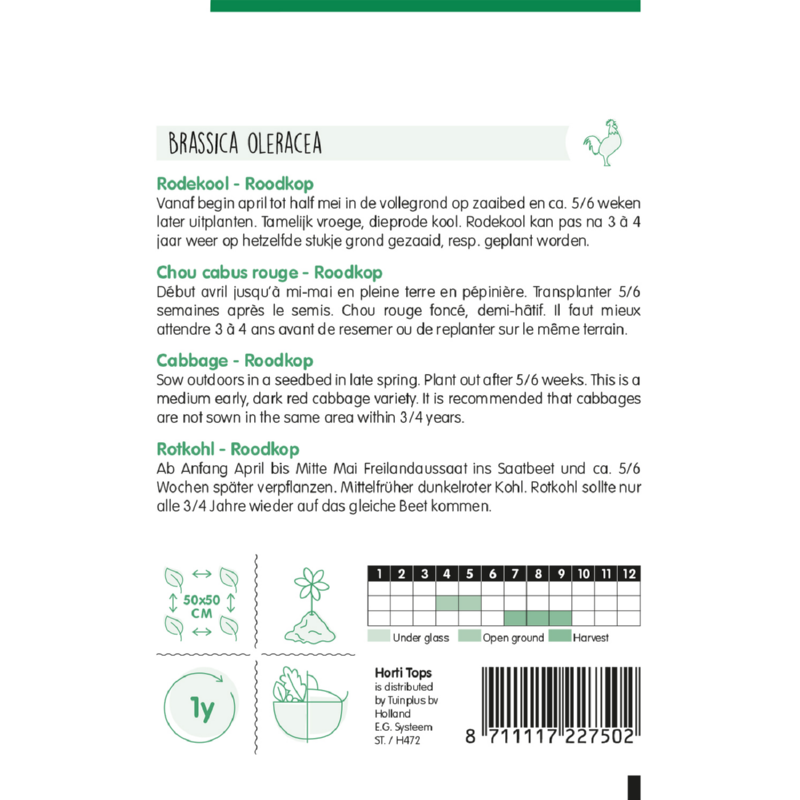 Horti Tops® Cabbage - Roodkop