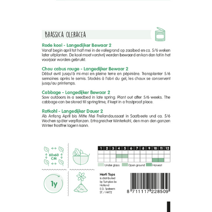 Horti Tops® Cabbage Langedijker Bewaar 2