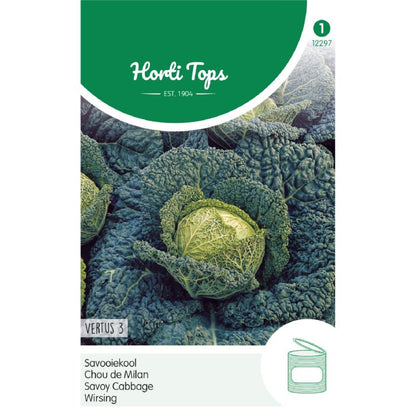 Horti Tops® Savoy Cabbage Vertus 3