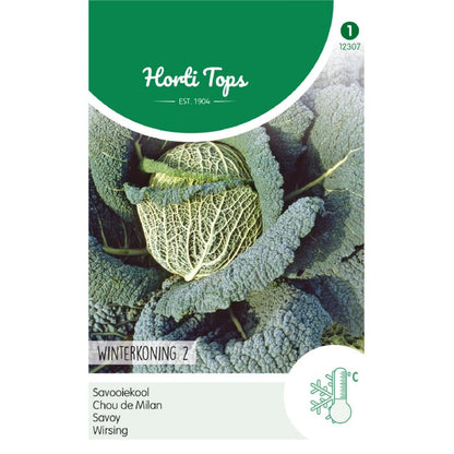 Horti Tops® Savoy Cabbage Winterking 2