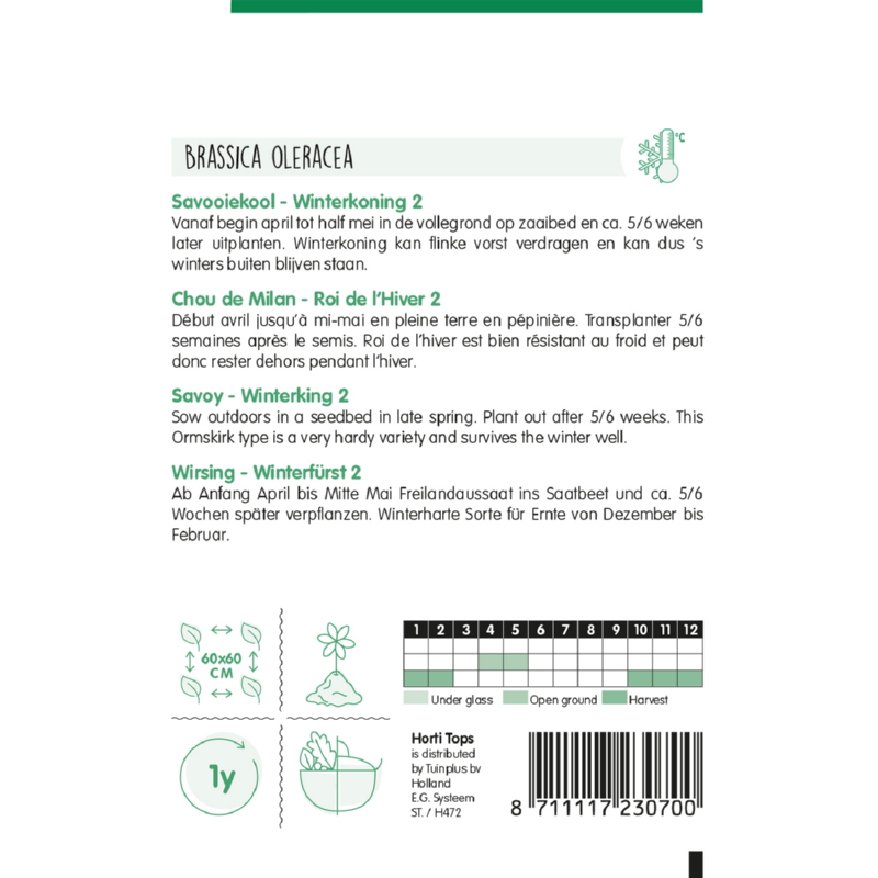 Horti Tops® Savoy Cabbage Winterking 2