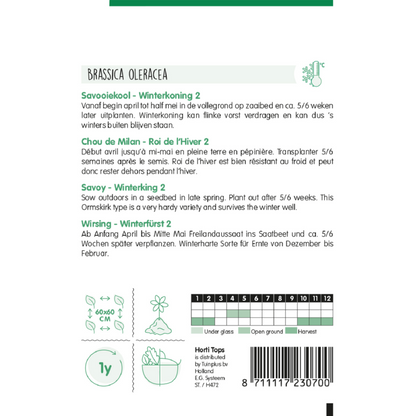 Horti Tops® Savoy Cabbage Winterking 2