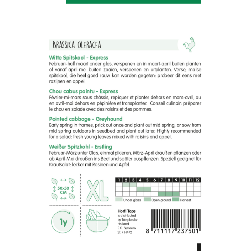 Horti Tops® Pointed cabbage Greyhound