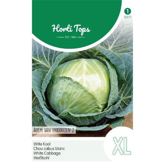 Horti Tops® Cabbage Glory Of Enkhuizen