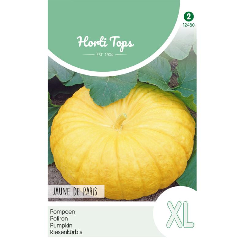 Horti Tops® Pumpkin Jaune de Paris, Yellow Pump.