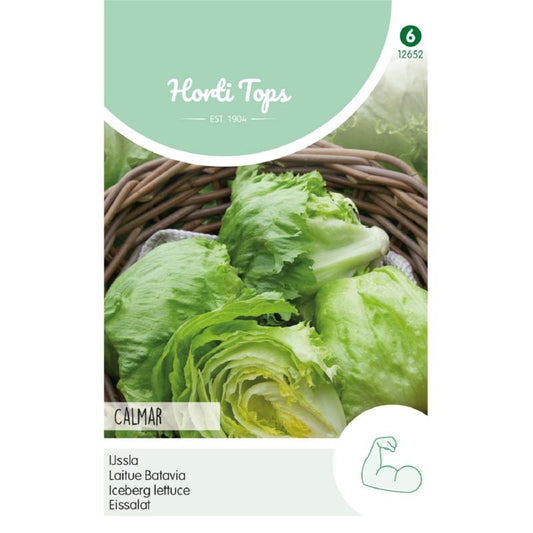 Horti Tops® Iceberg lettuce Calmar