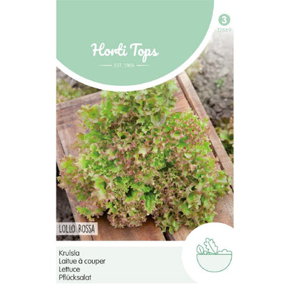 Horti Tops® Lettuce (Leaf) Lollo Rossa