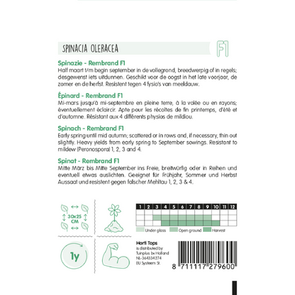 Horti Tops® Spinach Rembrandt F1, 10g