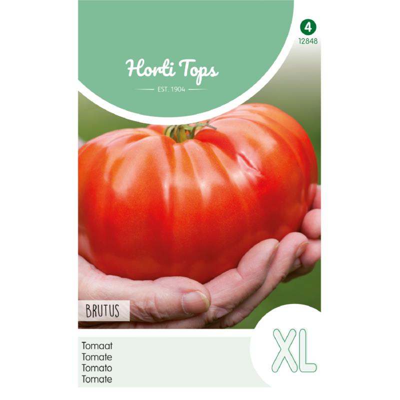 Horti Tops® Tomato Brutus