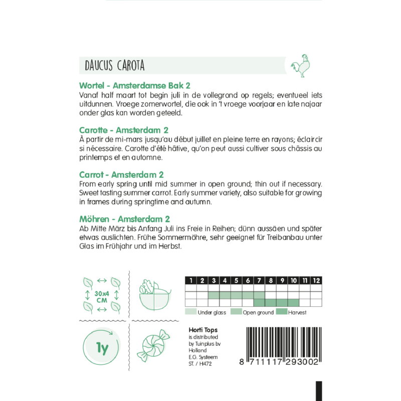 Horti Tops® Carrots Amsterdam Forcing 2