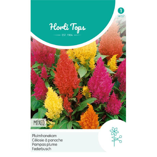 Horti Tops® Celosia Argentea Plumosa Mixed