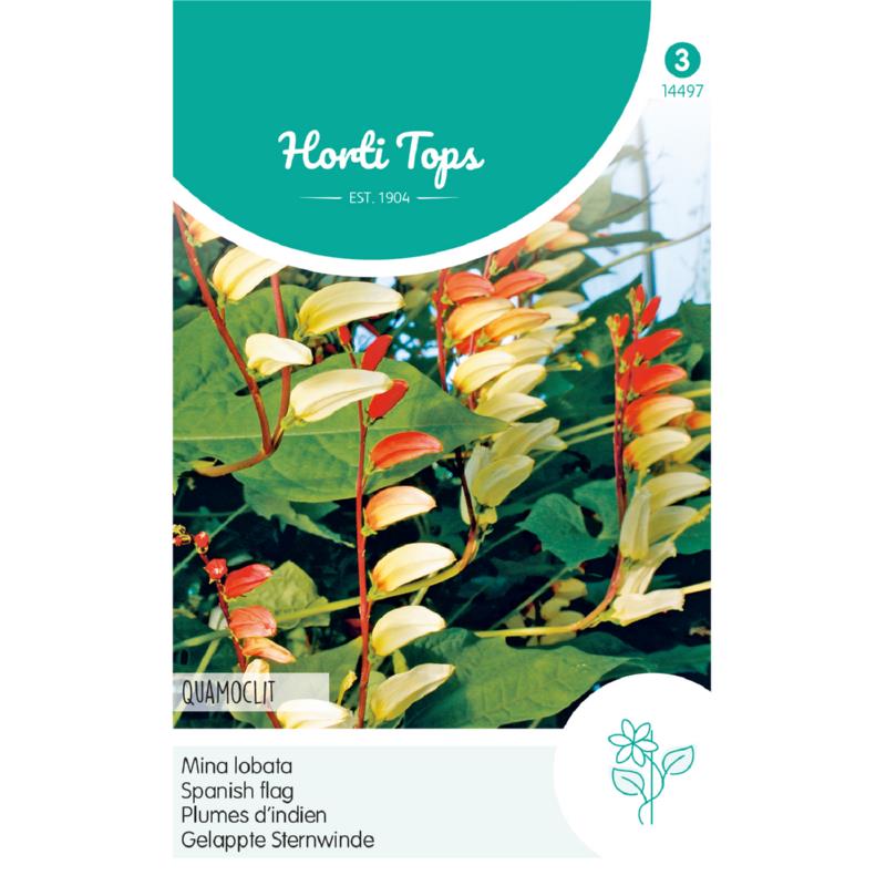 Horti Tops® Quomoclit (Mina lobata)