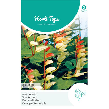 Horti Tops® Quomoclit (Mina lobata)