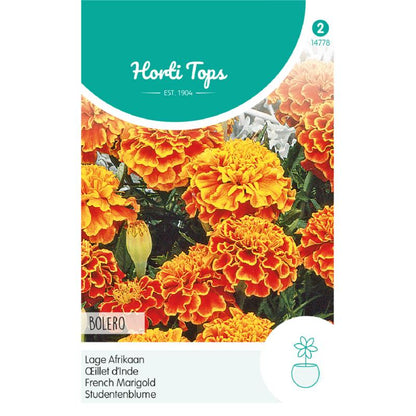 Horti Tops® Tagetes Patula nana Bolero