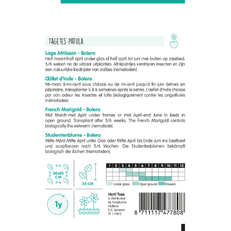 Horti Tops® Tagetes Patula nana Bolero