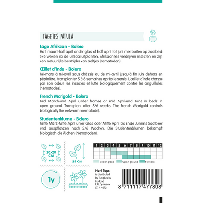 Horti Tops® Tagetes Patula nana Bolero