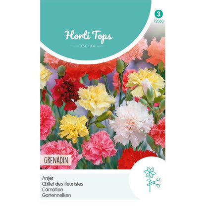 Horti Tops® Carnation Hardy Grenadin Double Mixed