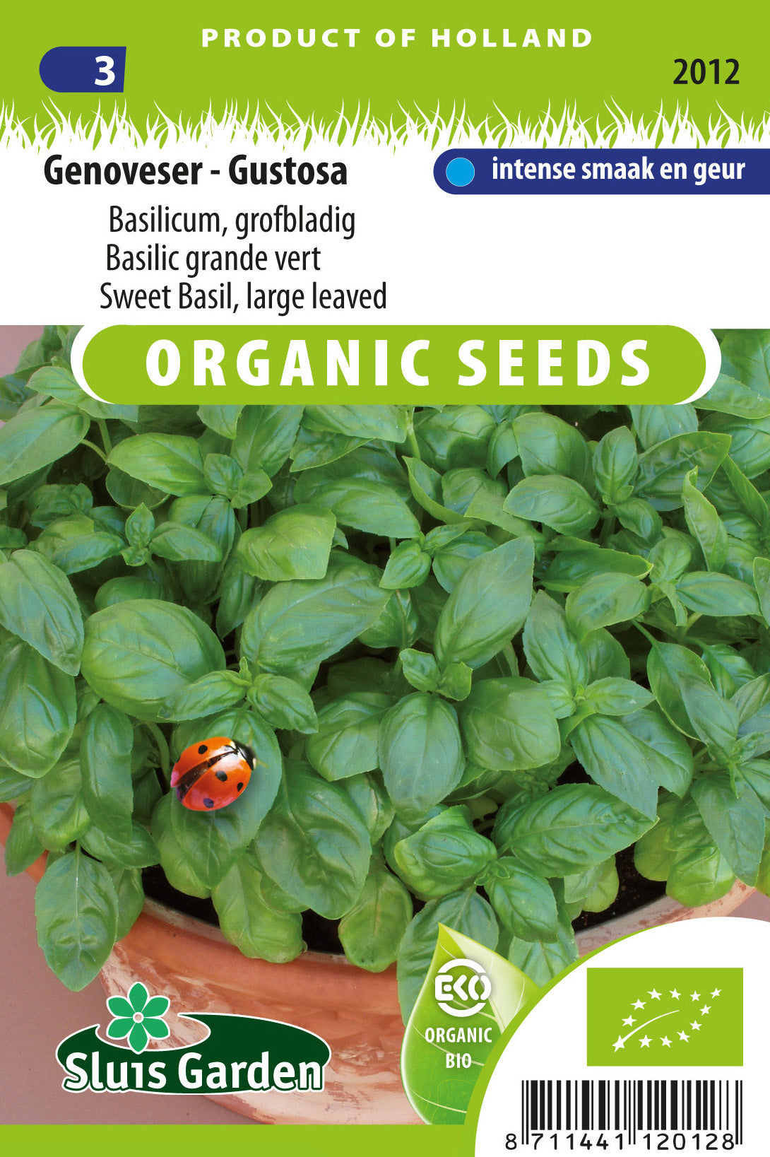 Sweet Basil Genovese Gustavo ORGANIC