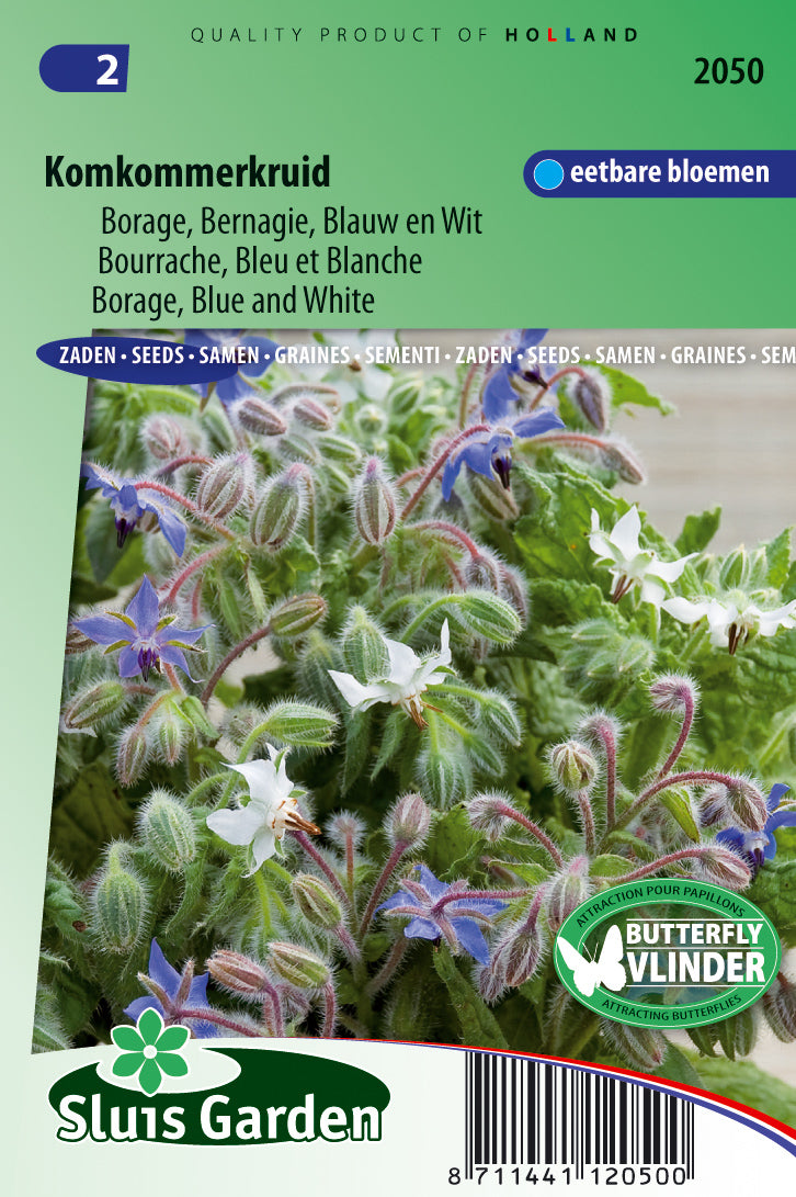 Borage Blue & White Borage off.