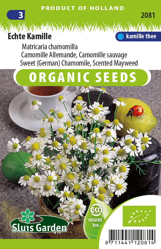 Sweet Chamomile BIO