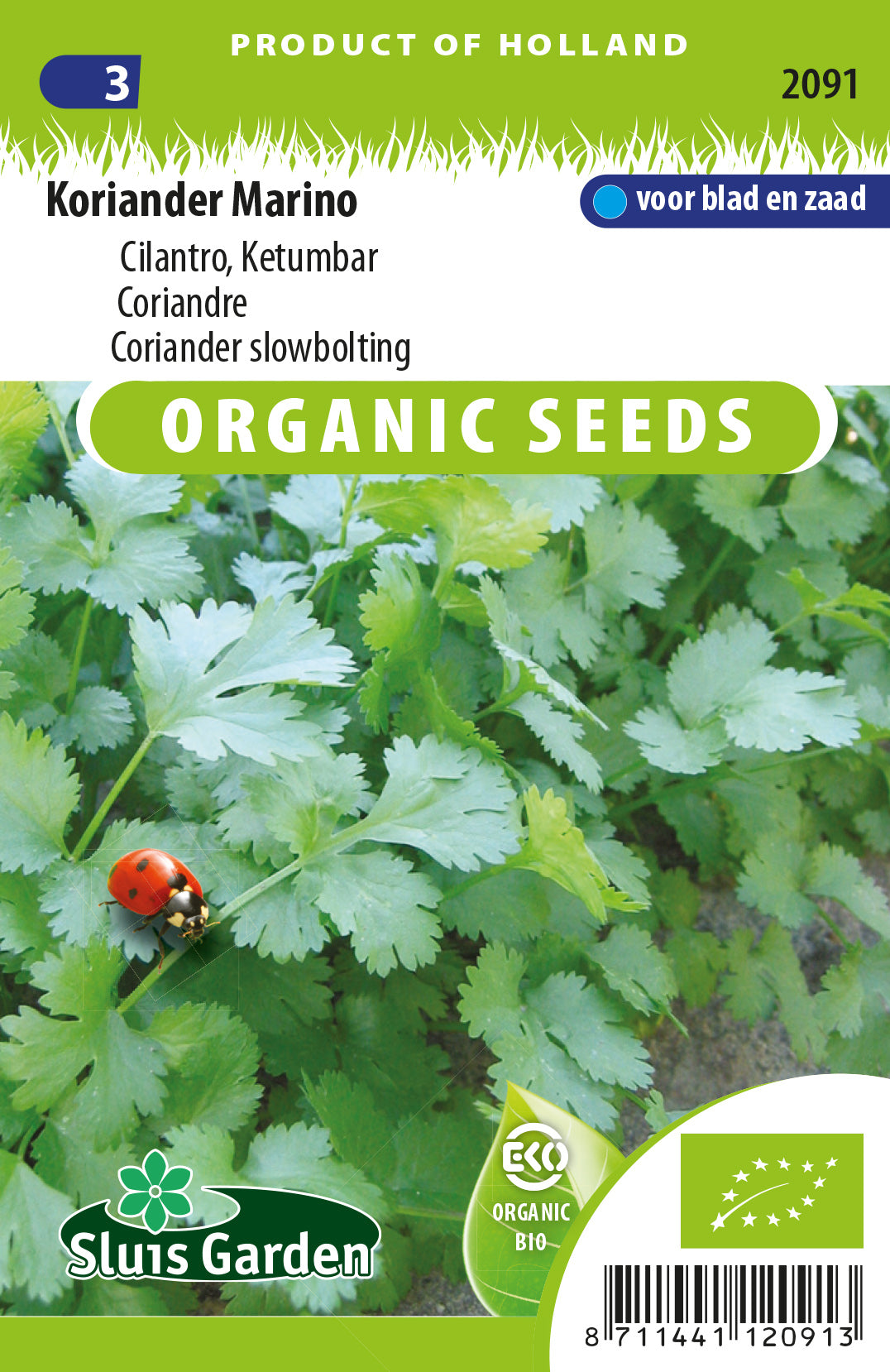 Coriander Marino ORGANIC