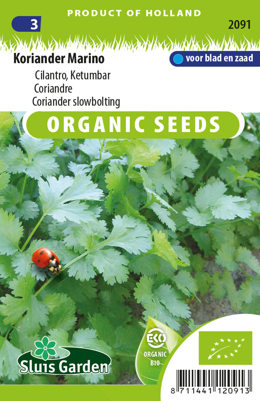 Coriander Marino ORGANIC