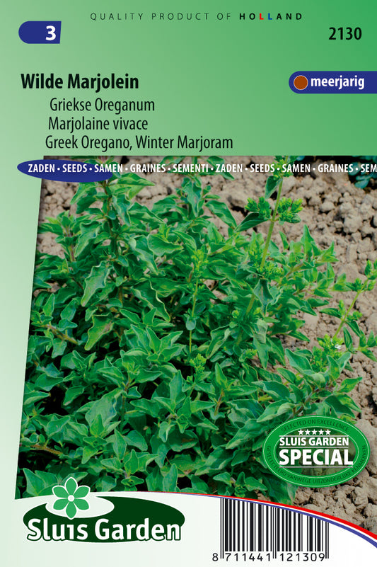 Greek Oregano Heracleoticum