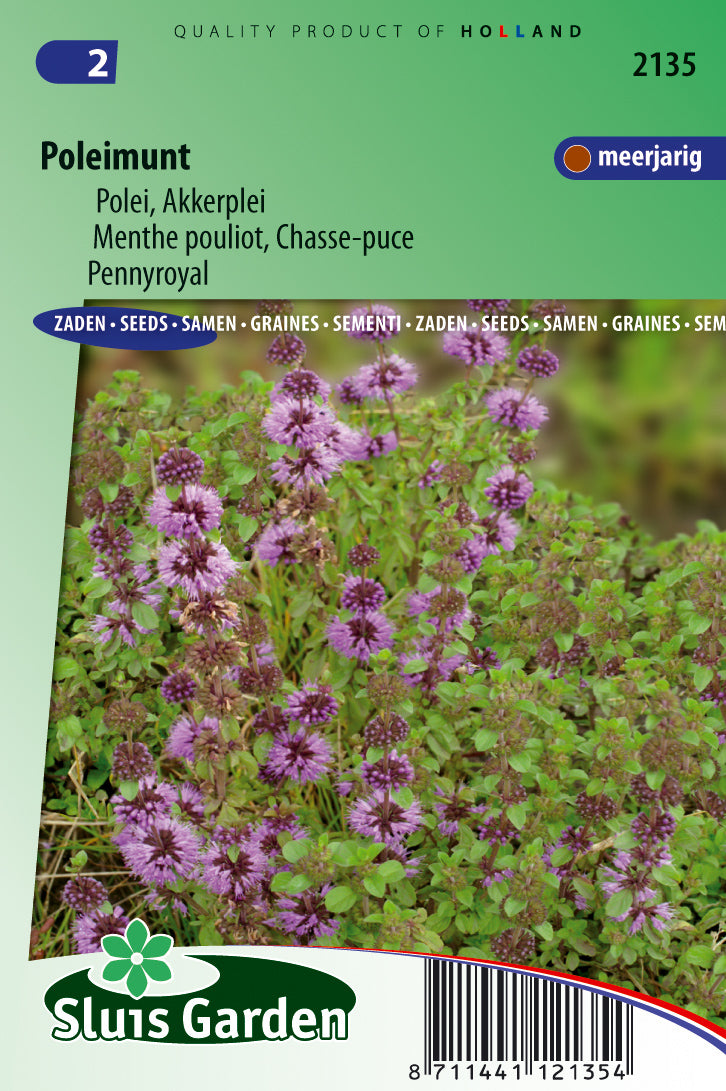 Pennyroyal Mentha pulegium