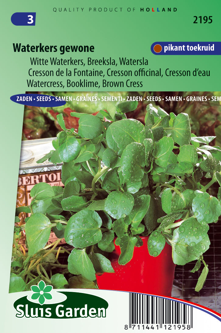 Watercress common Nasturtium official